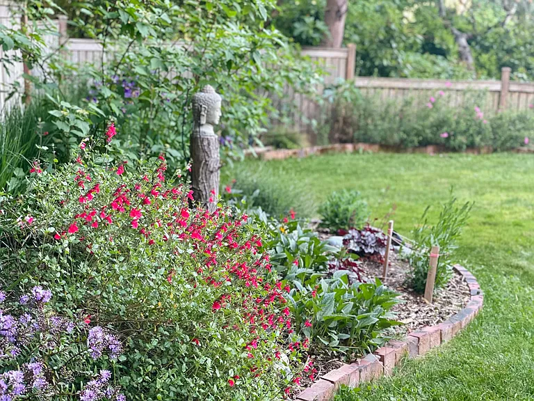 Landscape designed for year-round interest and native pollinators.