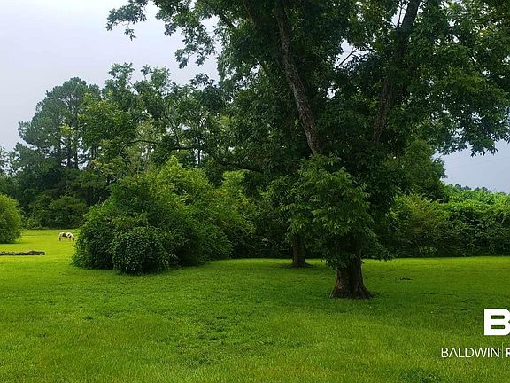 5th image of 25707 County Road 32