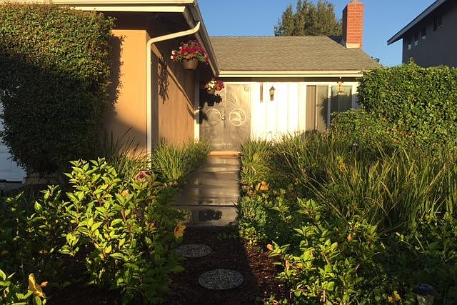 Magical garden in front yard.