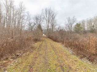 0 Tabors Corners Rd #64, Springwater, NY 14560