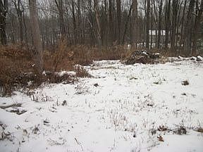 2nd image of 109 Poplar Dr