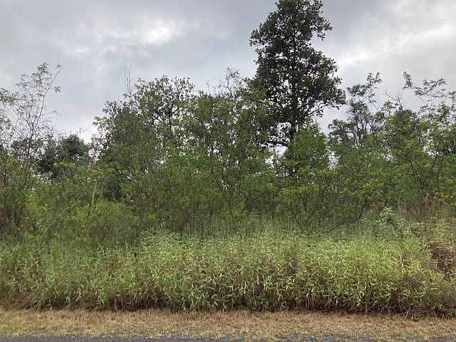 2nd image of Paradise Pkwy Lot 12