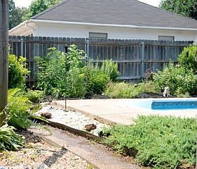 Backyard/Pool
