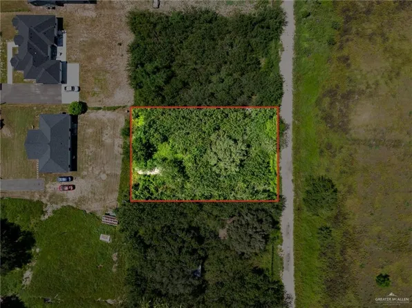 321 W Palm Dr, Edinburg, TX 78541