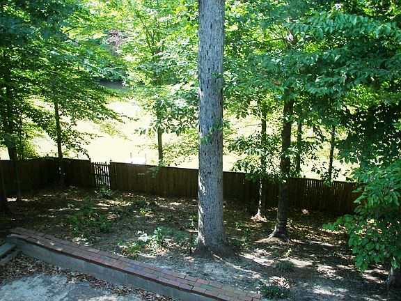View from Kitchen