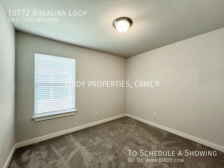 10772 Rosalina Loop — Photo 29