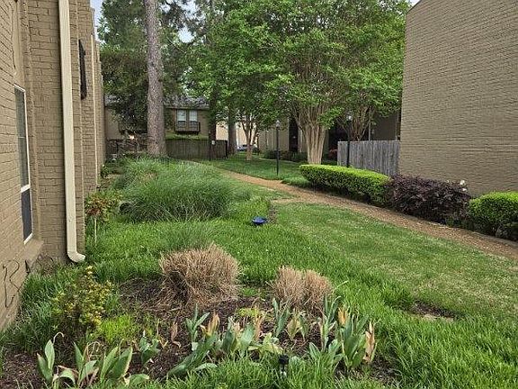5th image of 1009 June Rd