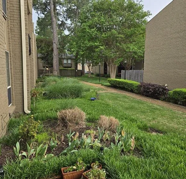 1009 June Rd — Photo 5
