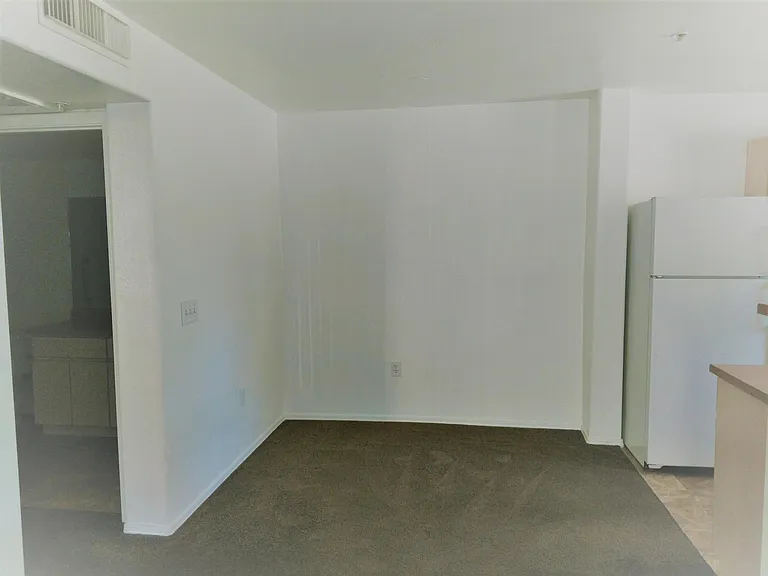 351 E Pearl St #5103 — Photo 4