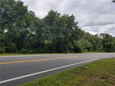 W 1st St, Paisley, FL, 32767