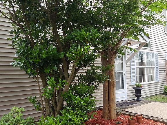 4th image of 1224 Corkwood Cir