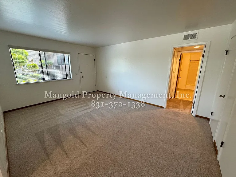 491haw — Photo 7