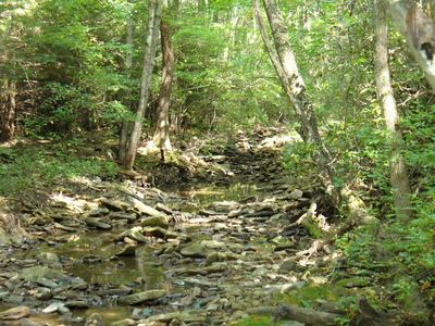 0167 Anthony Rd #1415, Frankford, WV, 24938