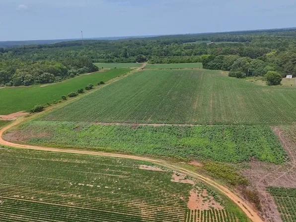 0F Off Nc 46 Hwy, Gaston, NC 27832
