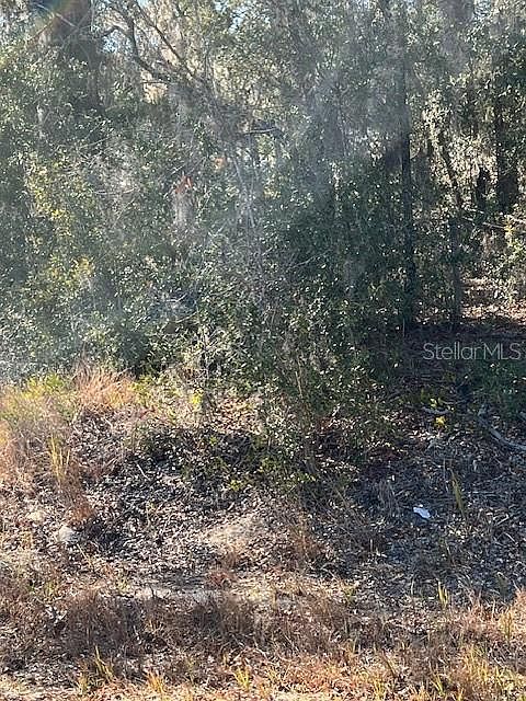 1st image of Locust Pass Loop Lot 9