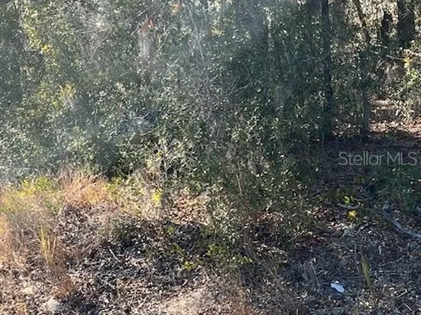 Locust Pass Loop Lot 10, Ocala, FL 34472