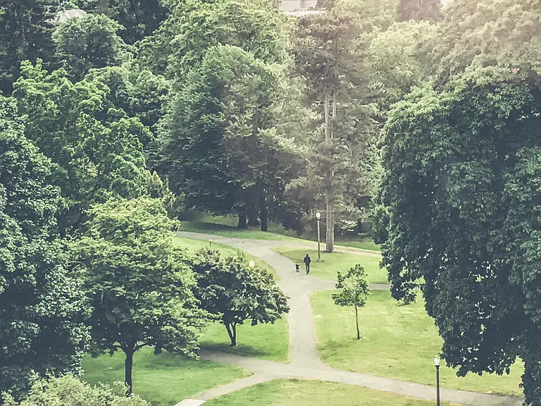 Wright Park