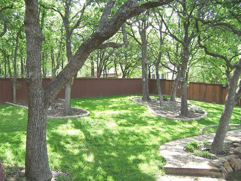 Lovely yard