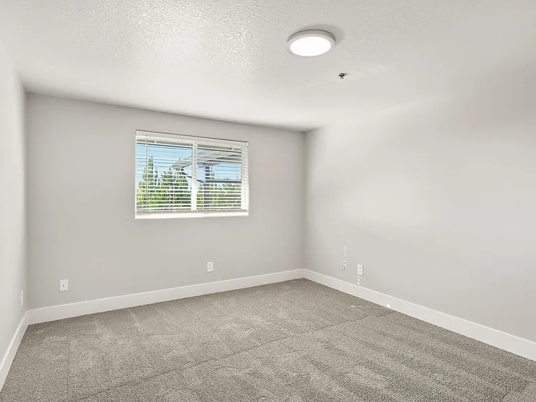 Veri 1319 — Photo 121