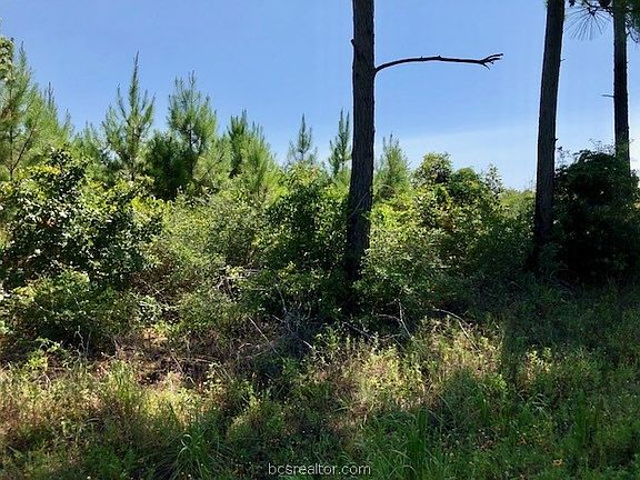 5th image of Tbd Millstone Dr