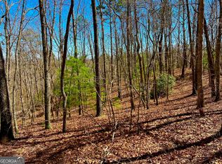 0 Voylestown Rd, Morganton, GA 30560