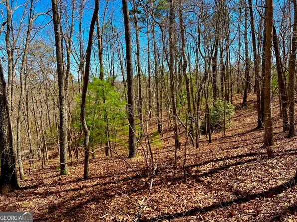 0 Voylestown Rd, Morganton, GA 30560