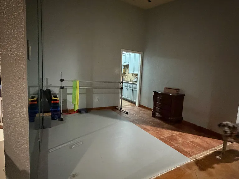 2307 Bluffview Ct — Photo 12