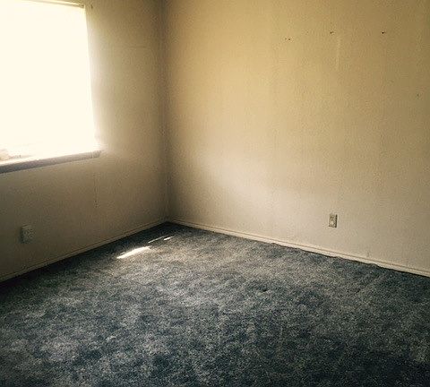 3rd image of 213 Loch Lomond Dr