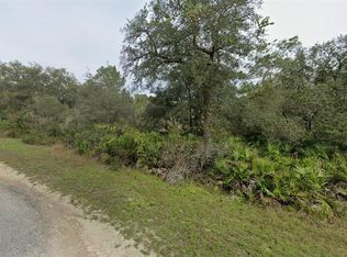 Soap Stone St LOT 1, Webster, FL 33597