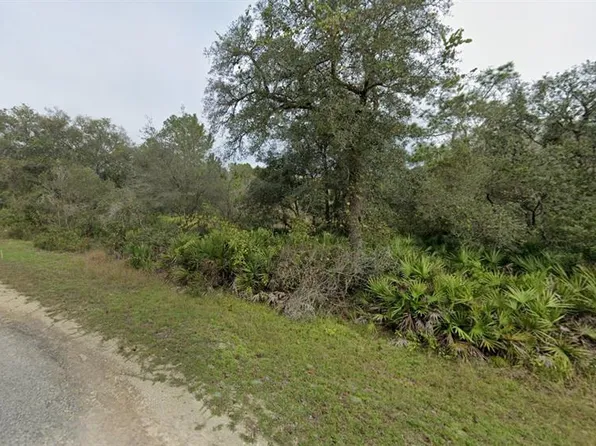 Soap Stone St Lot 1, Webster, FL 33597