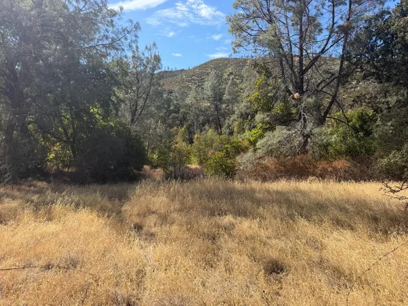 Goat Mountain Rd, Stonyford, CA 95979