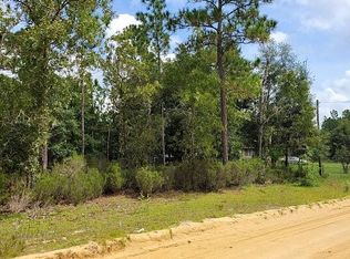 134 Adrian Ave, Interlachen, FL 32148