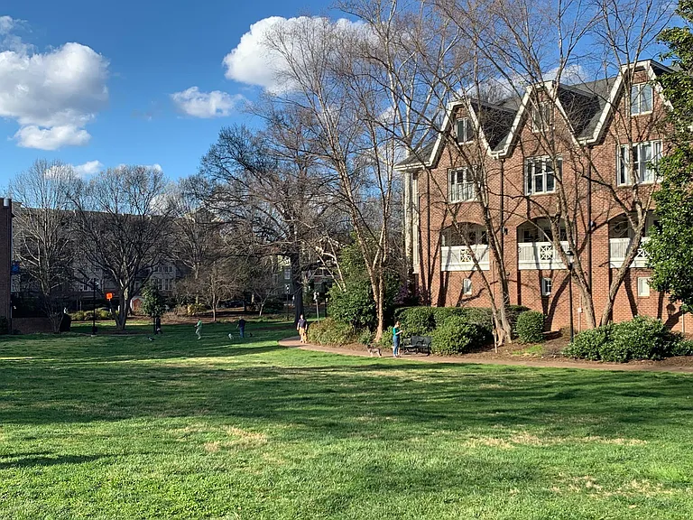 Neighborhood Greenspace
