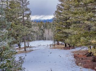 196 Rampart Cir, Florissant, CO 80816