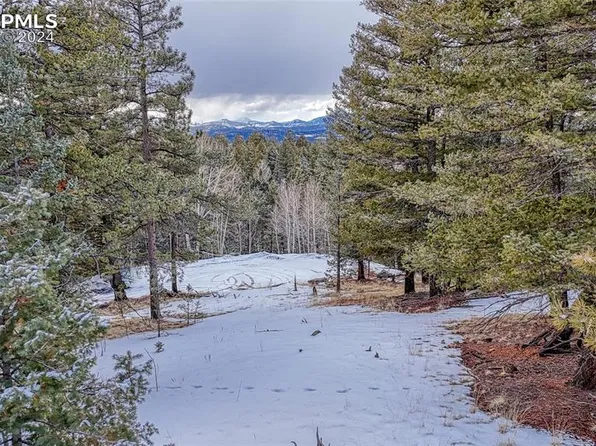 196 Rampart Cir, Florissant, CO 80816