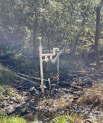 3rd image of Downey Rd