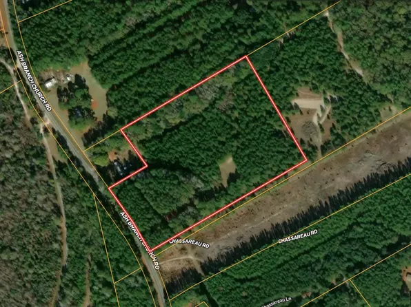 0 Ash Br, Brooklet, GA 30415