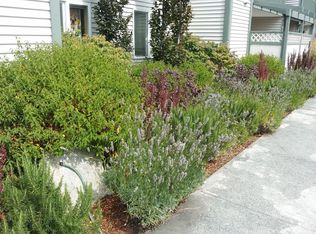 15 Malcolm St UNIT 103, Friday Harbor, WA 98250