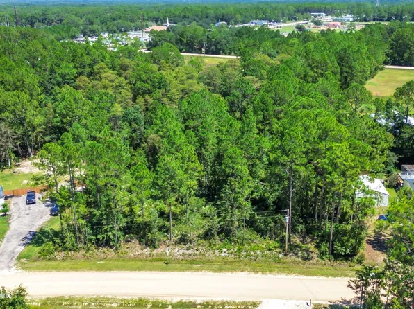 4538 MAYFLOWER Street, Middleburg, FL 32068