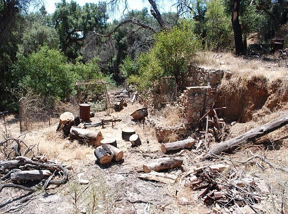 south view looking at property