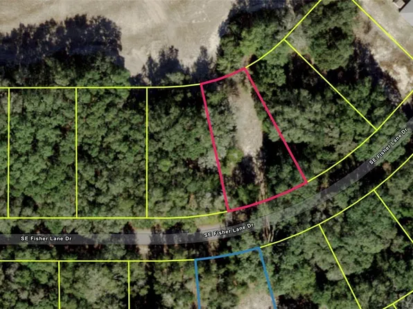 Fisher Lane Dr Lot 19, Ocklawaha, FL 32179