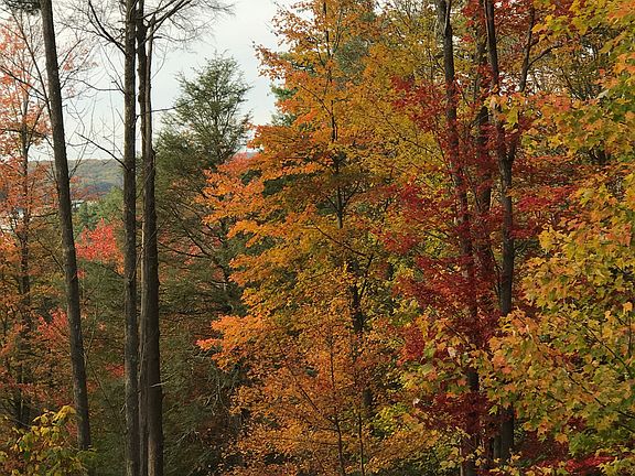 Autumn 