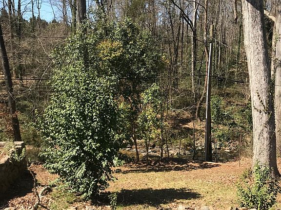Backyard Looking at Creek