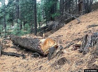 165 Summer Hills Rd, Gardnerville, NV 89460