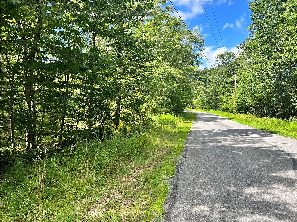 0 Columbia Lake Rd, Deposit, NY 13754 MLS R1491489 Zillow
