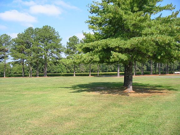 4th image of 35 Park Ln