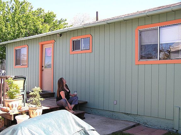 Back yard