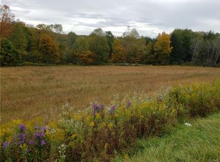 624 Hunts Corners Rd, Richford, NY 13835