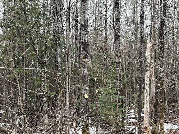 2nd image of ON Hofer Road
