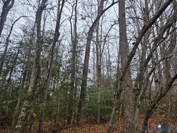 0 Tabscott Rd, Kents Store, VA 23084